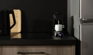 2 Bedroom Suite Plus Living Room 30