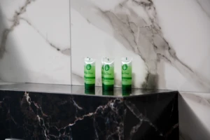 2 Bedroom Suite Plus Living Room 41